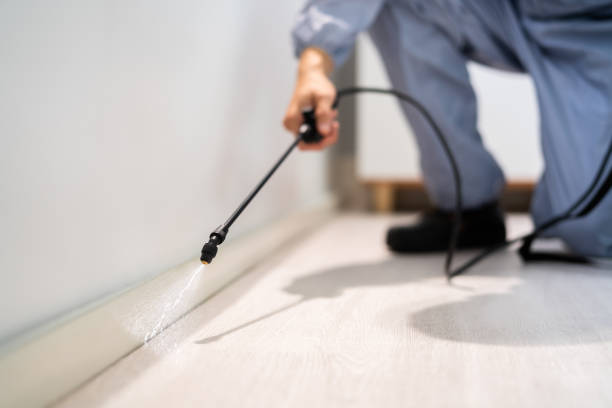 Licensed Cockroach Control service in Middletown, CA - Nex Pest Control
