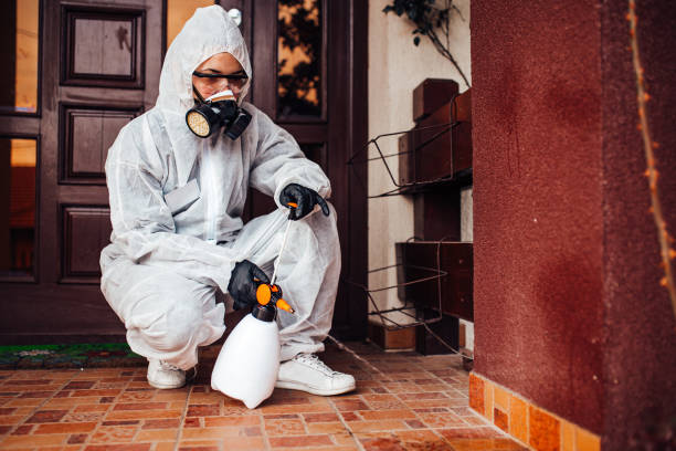 Reliable Cockroach Control contractor in Middletown, CA by Nex Pest Control